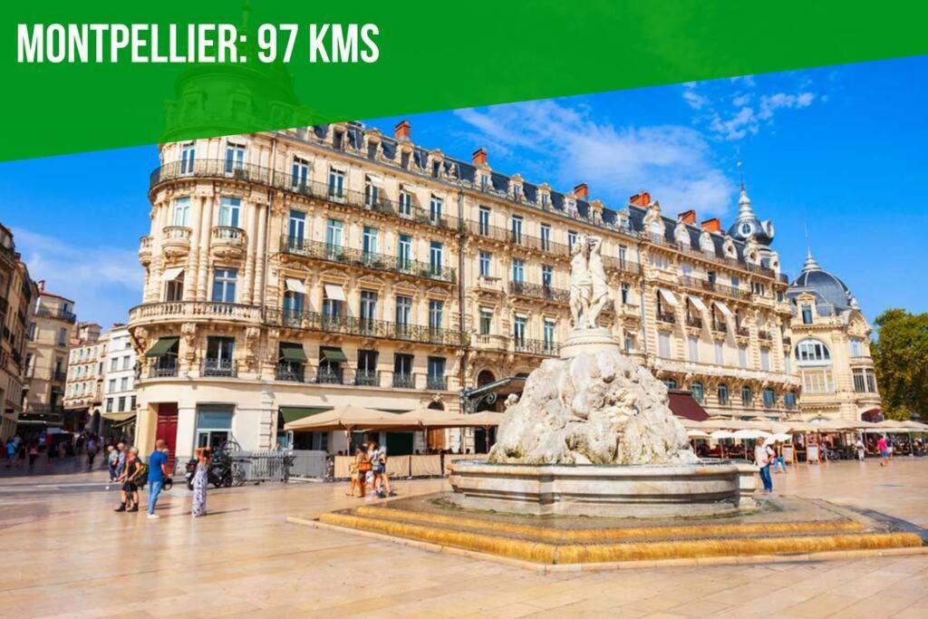Les Brunes - Wi-Fi - Centre Ville - Proche Theatres Avignon Bagian luar foto